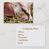 LANDTIERE, SCHWEINE VISITENKARTE (Vorne/Hinten)
