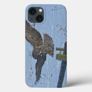 Landung des großen grauen Owl and Fence Wildlife F Case-Mate iPhone Hülle
