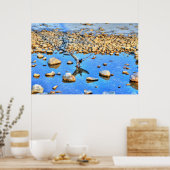 Landung Mallard Drake & Water Reflection Foto Poster (Küche)