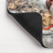 Landung Mallard Drake Wildlife Geschenk Mousepad (Ecke)