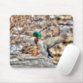 Landung Mallard Drake Wildlife Geschenk Mousepad (Mit Mouse)
