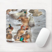 Landung Mallard Duck Birdlover Wildnis Mousepad (Mit Mouse)