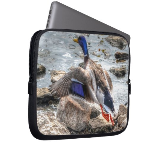 Landung Mallard Duck Drake 10 Wildlife Foto Laptopschutzhülle (Vorne Rechts)