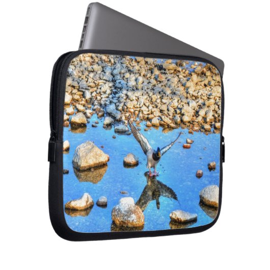 Landung Mallard Duck Drake 12 Wildlife Foto Laptopschutzhülle (Vorne Rechts)