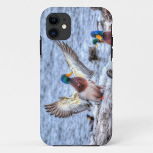 Landung Mallard Duck Drake 5 Wildlife Foto Case-Mate iPhone Hülle
