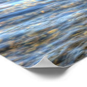 Landung Mallard Duck Drake II Wildlife Foto Print Poster (Ecke)