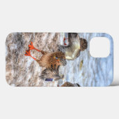 Landung Mallard Duck Wildlife Foto Case-Mate iPhone Hülle (Rückseite (Horizontal))