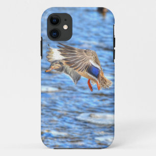 Landung Mallard Duck Wildlife Foto Case-Mate iPhone Hülle