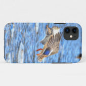 Landung Mallard Duck Wildlife Foto Case-Mate iPhone Hülle (Rückseite (Horizontal))