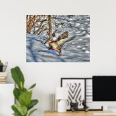 Landung Mallard Duck Wildlife Foto Print Poster (Heimbüro)