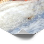 Landung Mallard Duck Wildlife Foto Print Poster (Ecke)