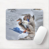 Landung Mallard Enck Birdlover Wildlife Foto Mousepad (Mit Mouse)