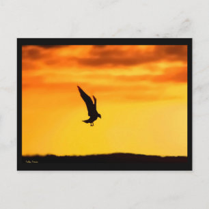 Landung Postkarte
