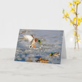Landungs-Stockenten-Enten-Tier-Kunst Gruß-Karte Karte (Gelbe Blume)