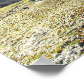 Landweg in einer frostigen Landschaft Poster (Ecke)
