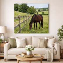 Landwiese Pferd
