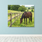 Landwiesenpferd Leinwanddruck (Insitu (Holzboden))
