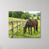 Landwiesenpferd Leinwanddruck (Vorderseite)