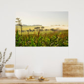 Landwirtschaft Brasilien Poster (Küche)
