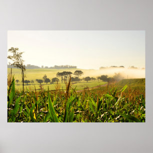 Landwirtschaft Brasilien Poster