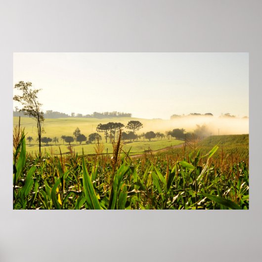 Landwirtschaft Brasilien Poster (Vorne)