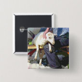 LANDWIRTSCHAFT BUTTON (Vorne & Hinten)