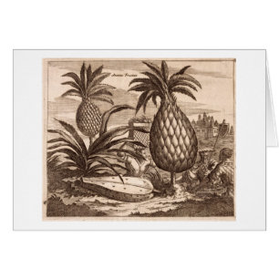 Landwirtschaft der großen Ananas, Illustration vo