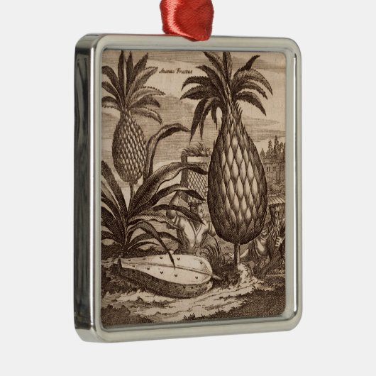 Landwirtschaft der großen Ananas, Illustration von Ornament Aus Metall (Rechts)