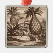 Landwirtschaft der großen Ananas, Illustration von Ornament Aus Metall (Vorne)