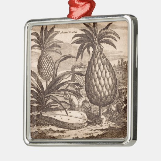 Landwirtschaft der großen Ananas, Illustration von Ornament Aus Metall (Links)