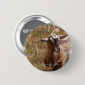 Landwirtschaft der Ziegen Button (Vorne & Hinten)