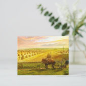 Landwirtschaft - Finnland - Hoffnungsfeld 1899 Postkarte (Stehend Vorderseite)