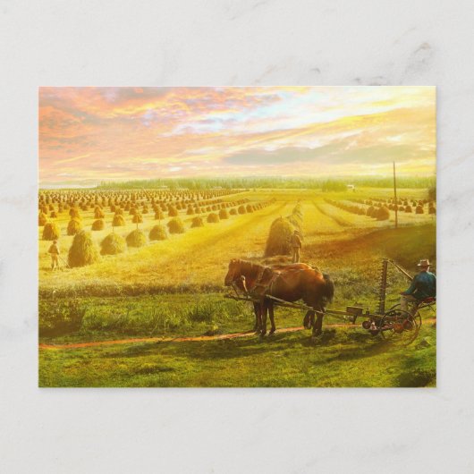 Landwirtschaft - Finnland - Hoffnungsfeld 1899 Postkarte (Vorderseite)