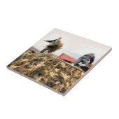 LANDWIRTSCHAFT FLIESE (Seite)