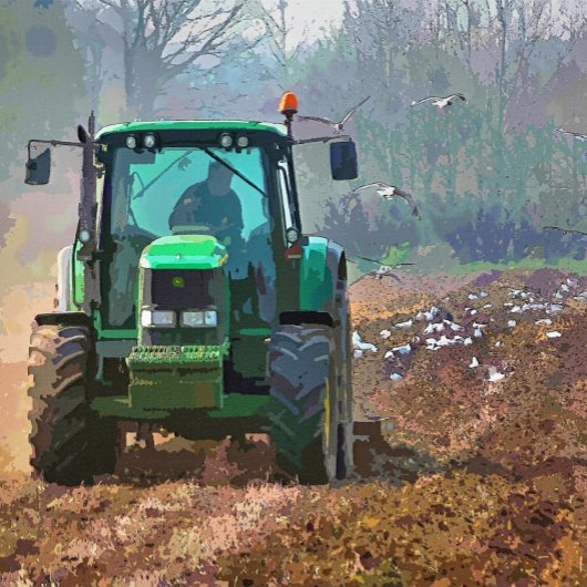 LANDWIRTSCHAFT FLIESE