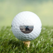 LANDWIRTSCHAFT GOLFBALL (Insitu T-Shirt)