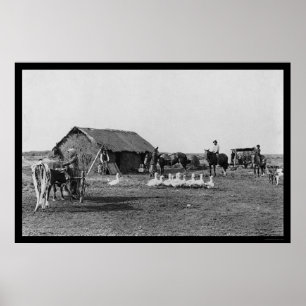 Landwirtschaft mit Menschen und Tieren in Argentin Poster