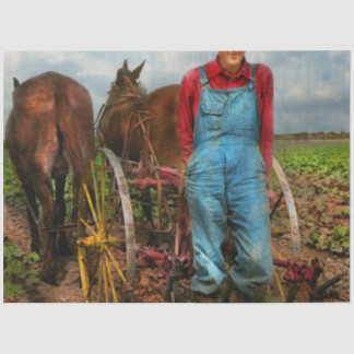 Landwirtschaft - Pflügwolle 1937 Seidenpapier