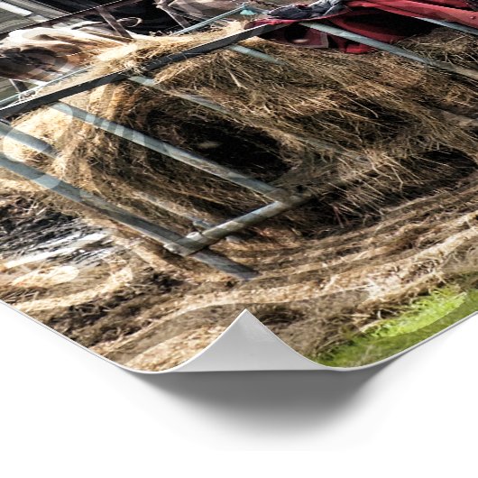 LANDWIRTSCHAFT POSTER (Ecke)