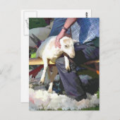 LANDWIRTSCHAFT POSTKARTE (Vorne/Hinten)