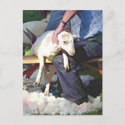 LANDWIRTSCHAFT POSTKARTE (Vorderseite)