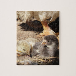 Landwirtschaft, Tier, Kunst, Baby, Schnabel, Vogel Puzzle