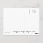 Landwirtschaftliche Betriebe in Neuseeland Postkar Postkarte (Rückseite)