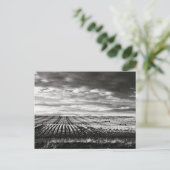 landwirtschaftliche Flächen Postkarte (Stehend Vorderseite)