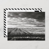 landwirtschaftliche Flächen Postkarte (Vorne/Hinten)