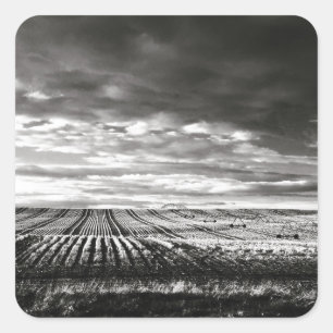 landwirtschaftliche Flächen Quadratischer Aufkleber