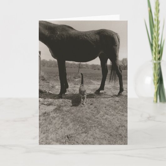 Landwirtschaftliche Freunde II Karte (Vorderseite)