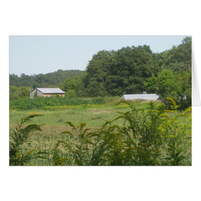 landwirtschaftliche Gebäude (Vorderseite (Horizontal))