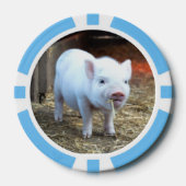 Landwirtschaftliche Haltungsbetriebe Schweinefleis Pokerchips (Vorderseite)