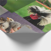 Landwirtschaftliche Hühnerfoerme Geschenkpapier (Ecke)